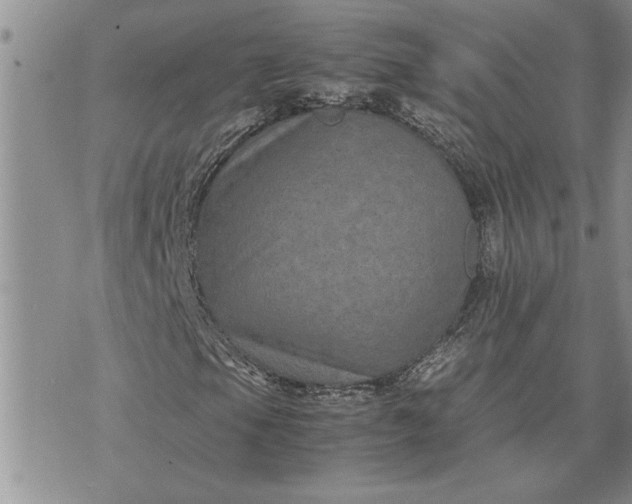 X0000071861105200607141808