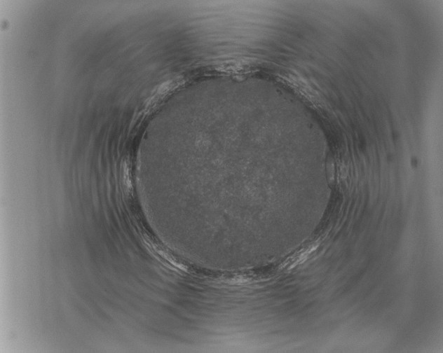 X0000071861106200607141808