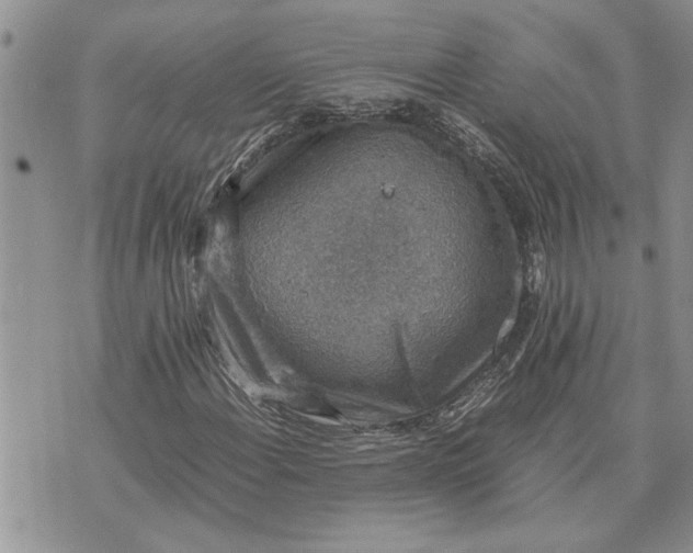 X0000071861108200607141808