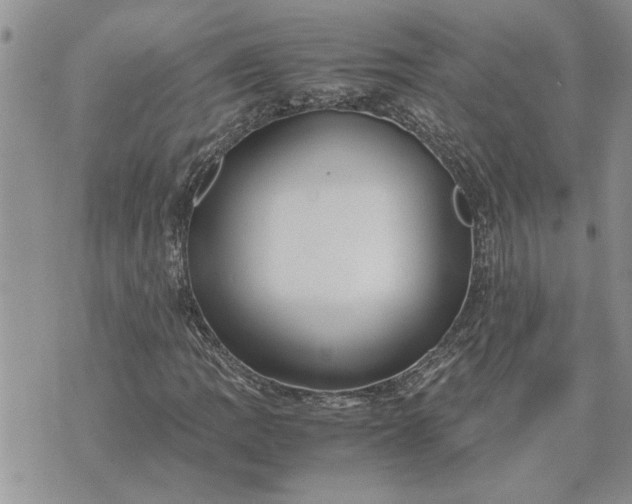 X0000071861109200607141808