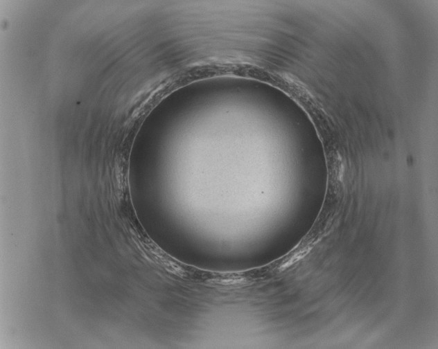 X0000071861110200607141808