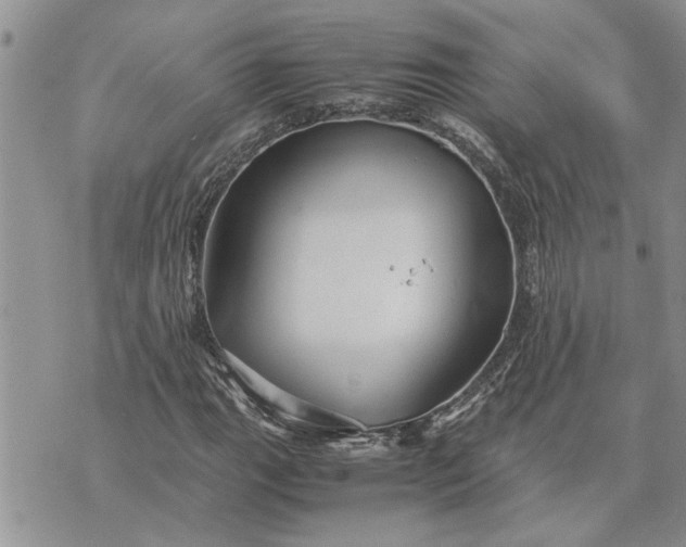 X0000071861111200607141808