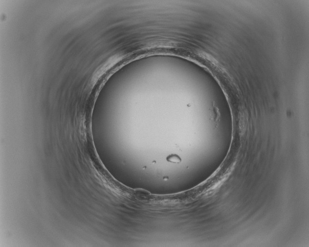 X0000071861113200607141808