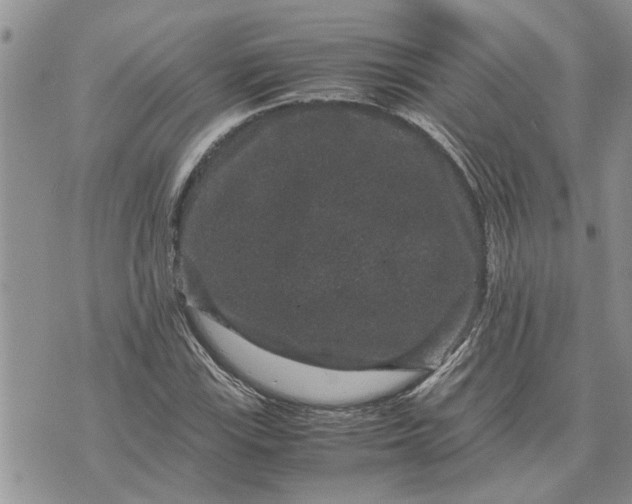 X0000071861115200607141808