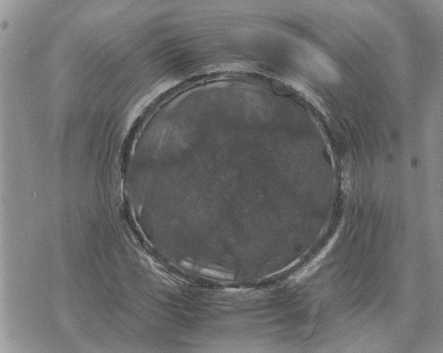 X0000071861117200607141808