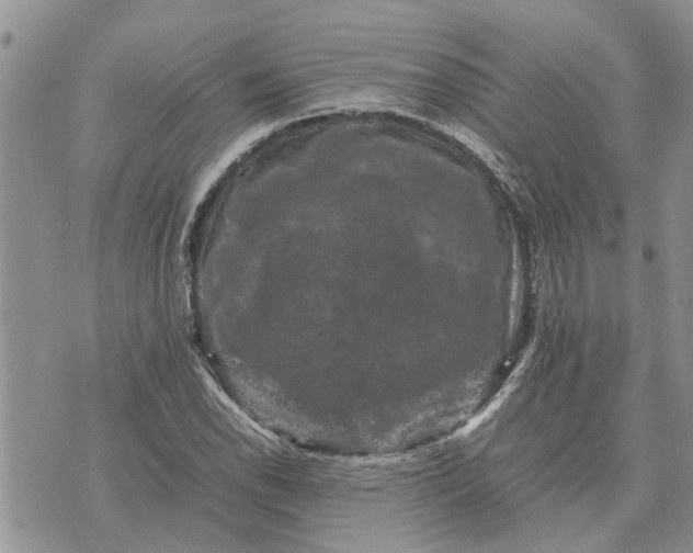 X0000071861118200607141808