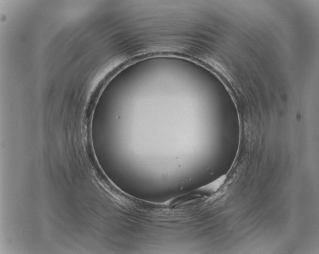 X0000071861119200607141808