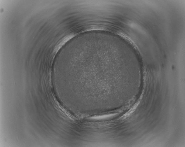 X0000071861121200607141808