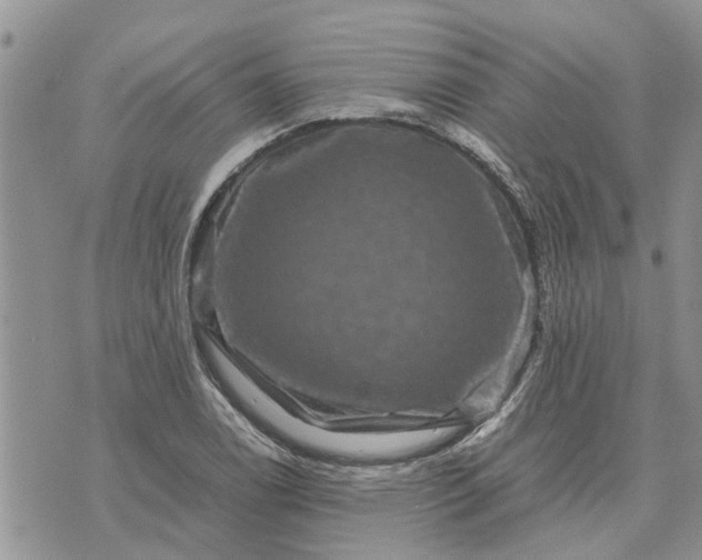 X0000071861122200607141808