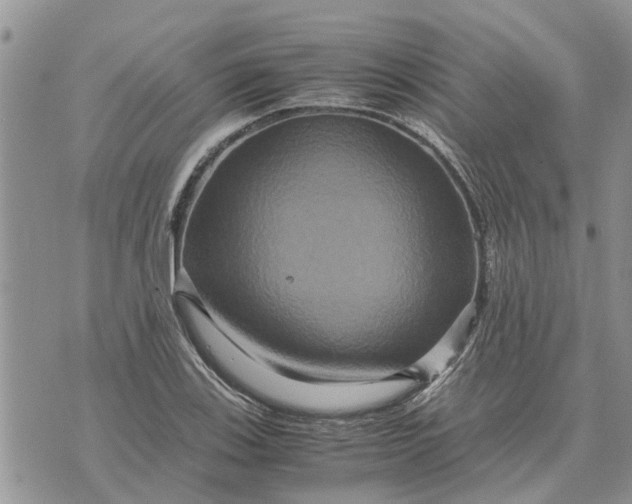 X0000071861123200607141808