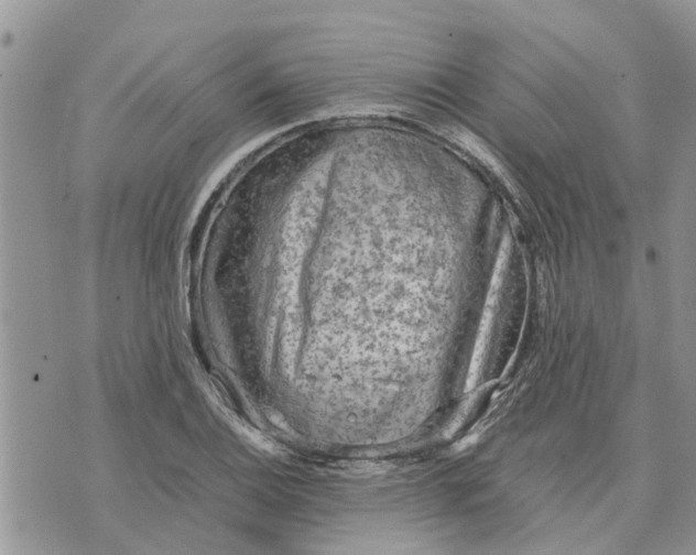 X0000071861124200607141808