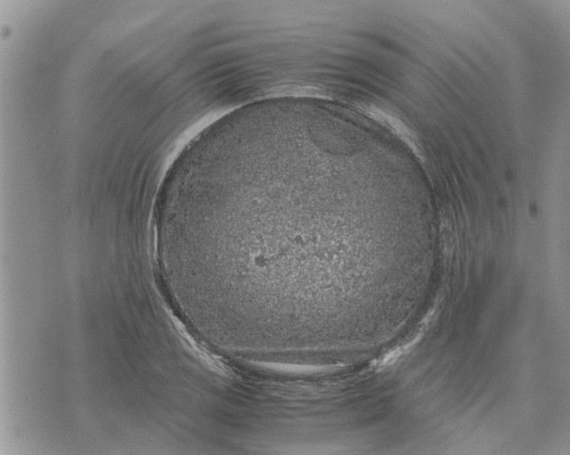 X0000071861125200607141808