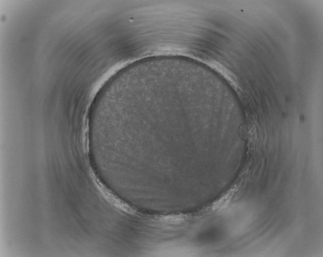 X0000071861126200607141808