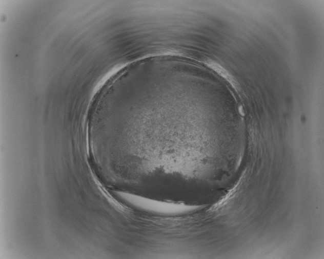 X0000071861127200607141808