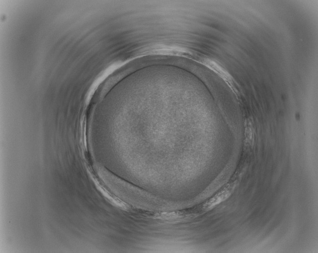 X0000071861128200607141808