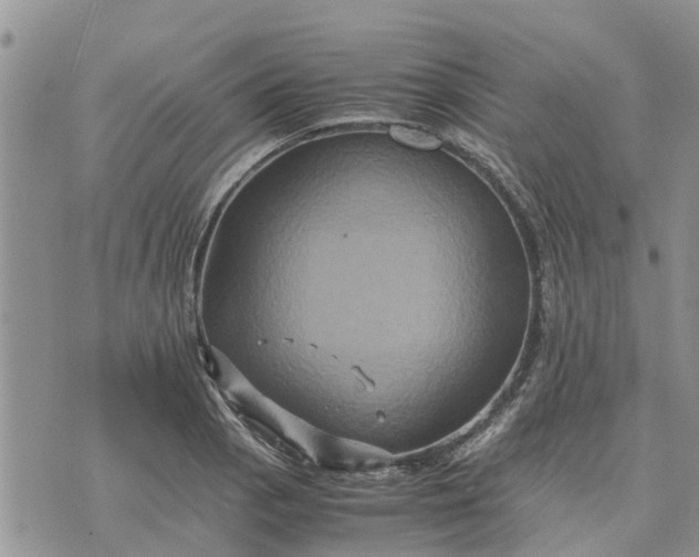 X0000071861129200607141808