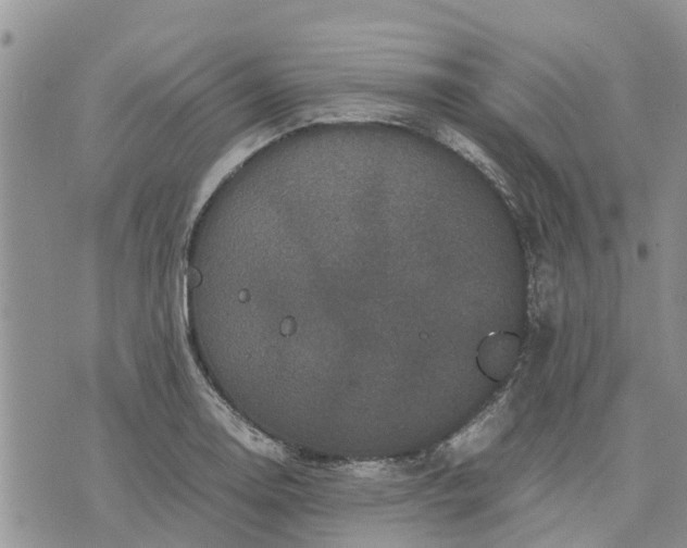 X0000071861130200607141808