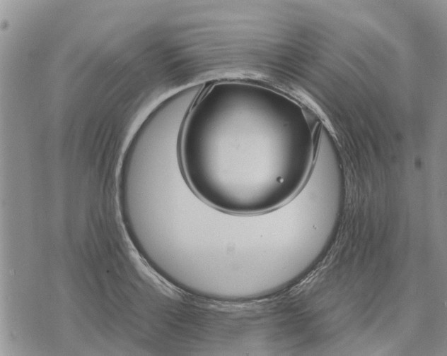 X0000071861132200607141808