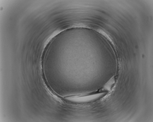 X0000071861133200607141808