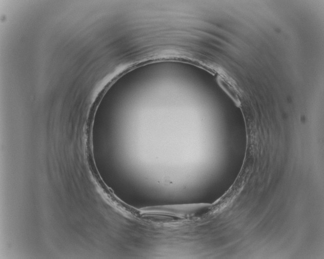 X0000071861134200607141808