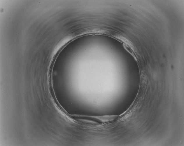 X0000071861135200607141808