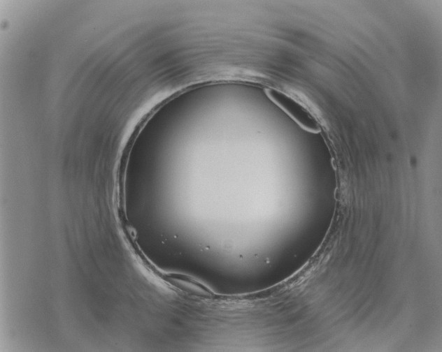 X0000071861136200607141808