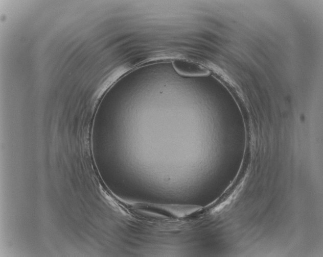 X0000071861137200607141808