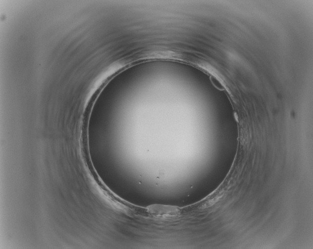 X0000071861139200607141808