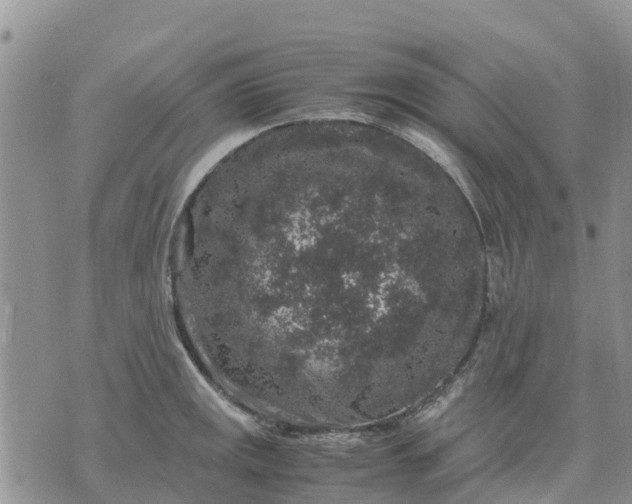 X0000071861141200607141809