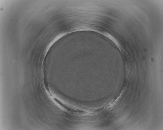 X0000071861142200607141809