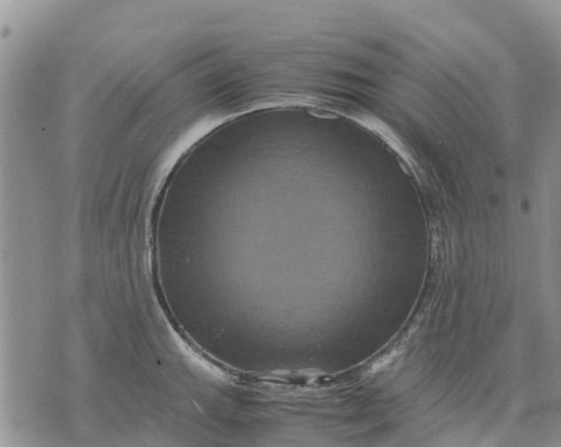 X0000071861143200607141809