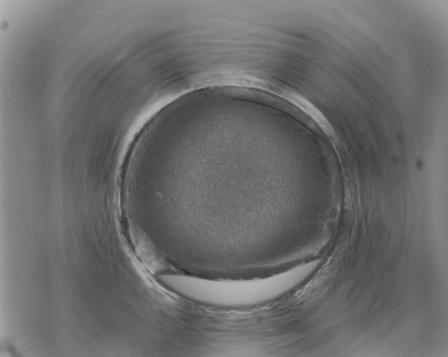 X0000071861144200607141809