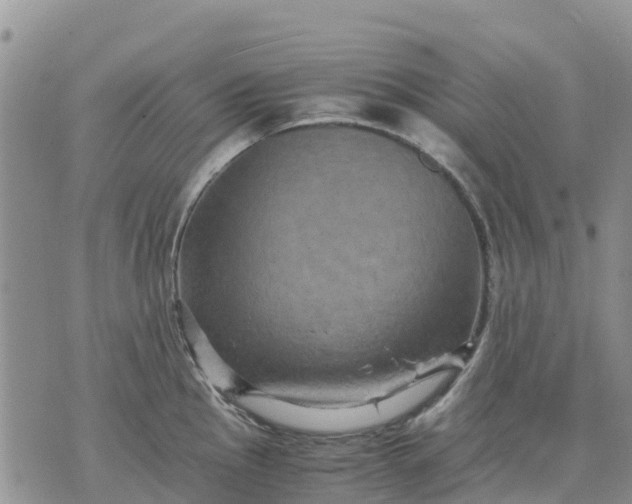 X0000071861145200607141809