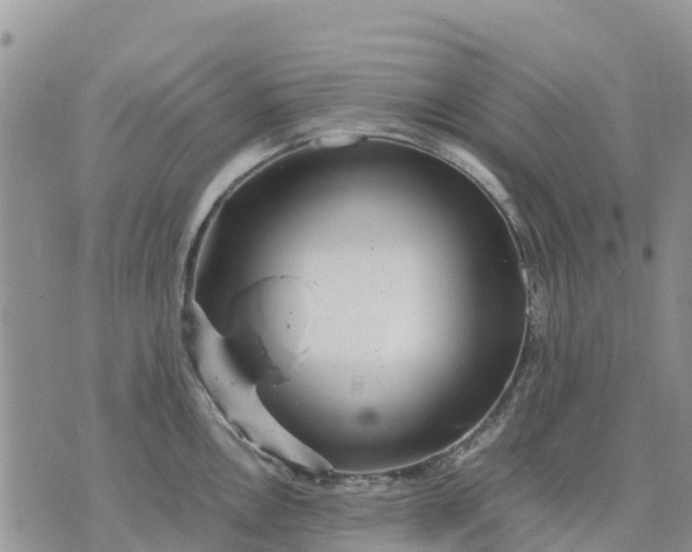 X0000071861146200607141809