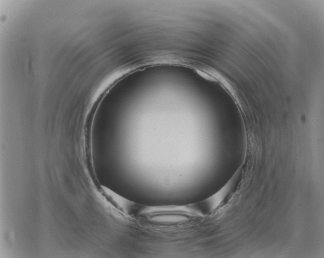 X0000071861147200607141809