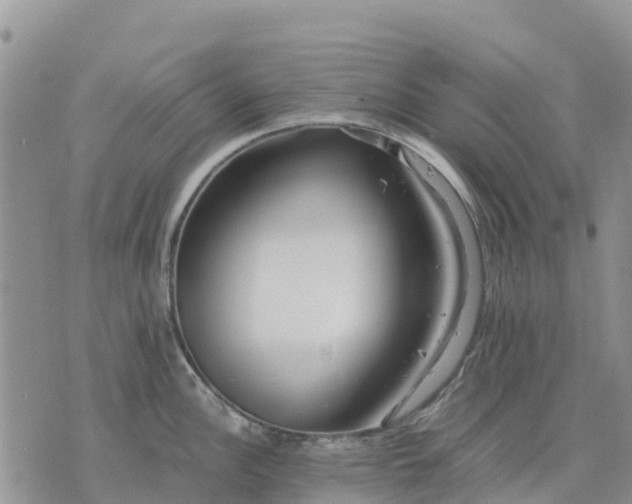 X0000071861148200607141809