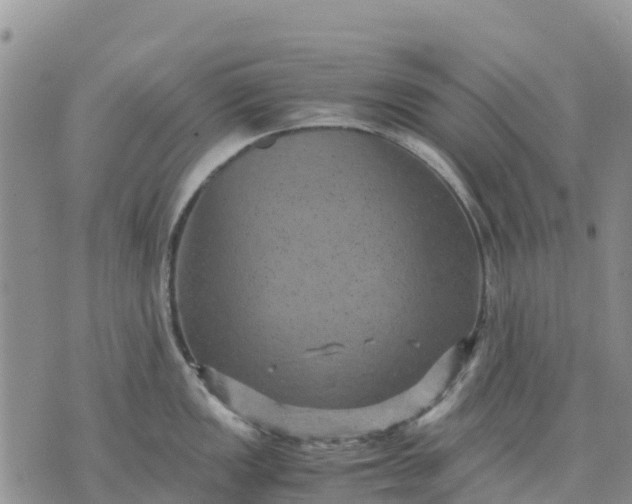 X0000071861149200607141809