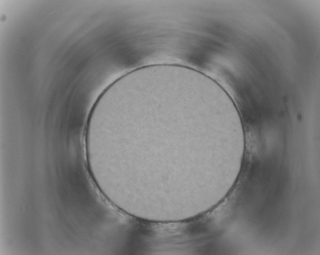 X0000071861150200607141809