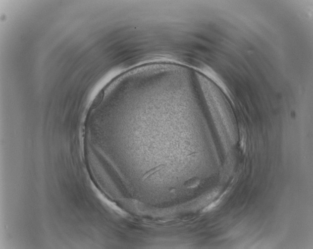 X0000071861151200607141809