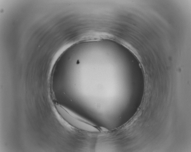 X0000071861152200607141809