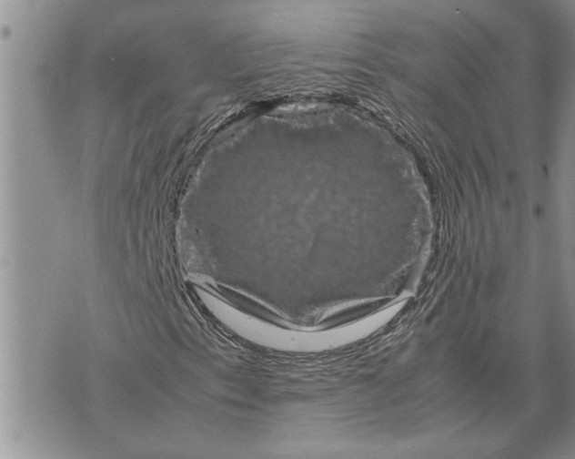 X0000071861153200607141808