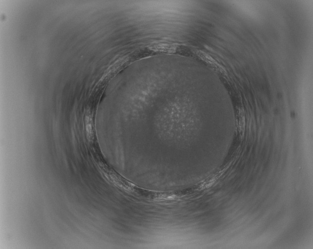 X0000071861154200607141808