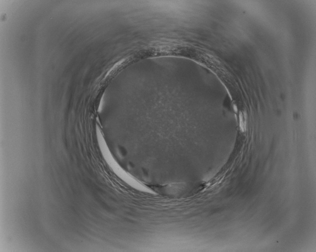 X0000071861155200607141808