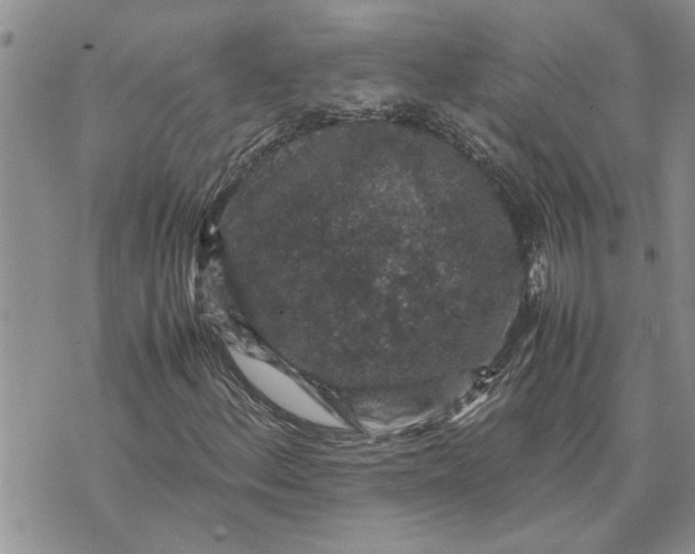 X0000071861156200607141808