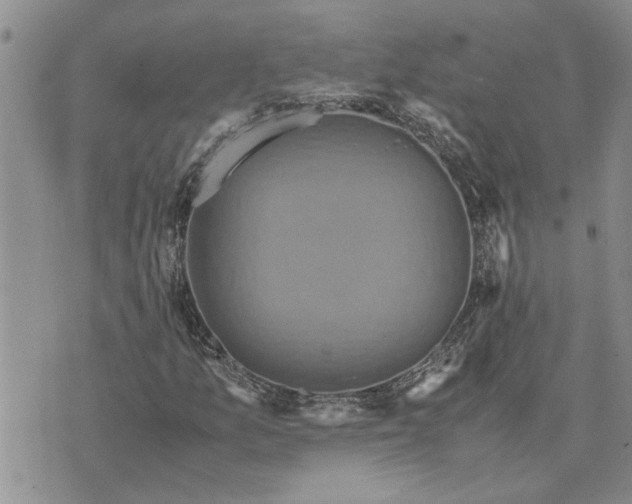 X0000071861157200607141808