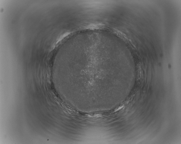 X0000071861158200607141808