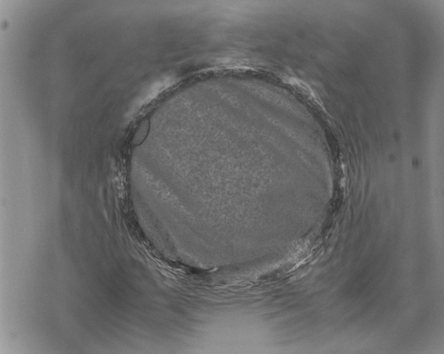 X0000071861159200607141808