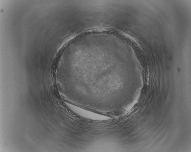 X0000071861160200607141808