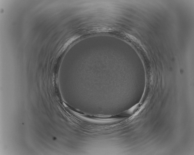 X0000071861161200607141808