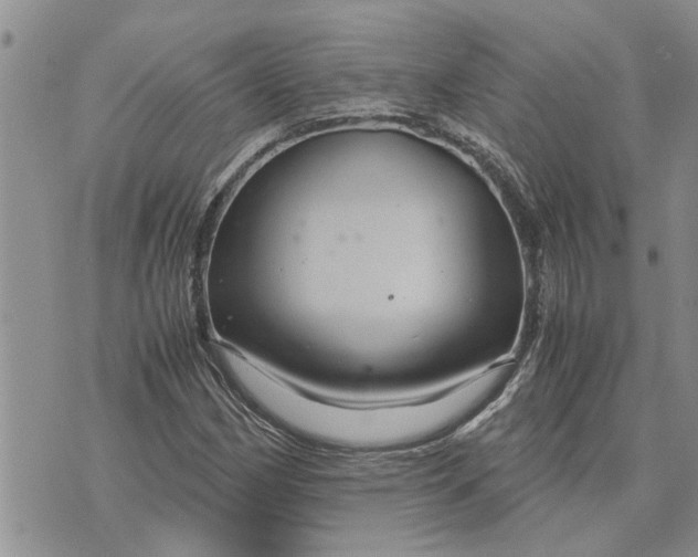 X0000071861162200607141808